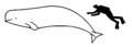 Thumbnail for version as of 08:18, 22 September 2026